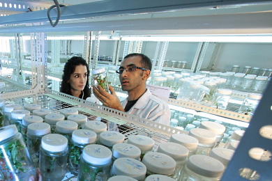 Anwendungen in der Photonentechnologie